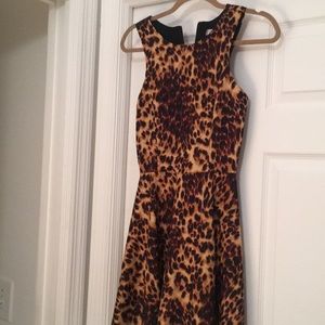 Animal print fit and flare dress
